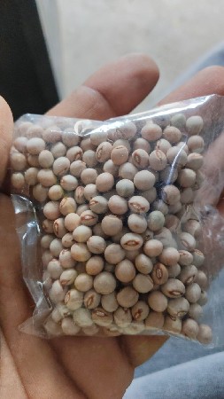 તુવીર વર્જિન