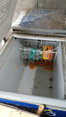 ફિજ
