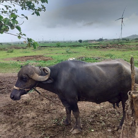 ડોઢ મહીનો થયુ છે