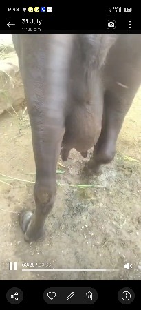 2 bhesh vecvani se