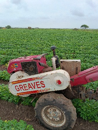 ગિરેવશ કપની nu
