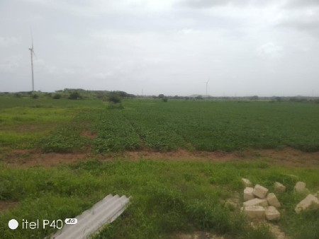 આ જમીન વેચવાની છે