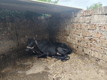 વેચવાની છે
