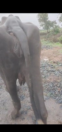 9638953521