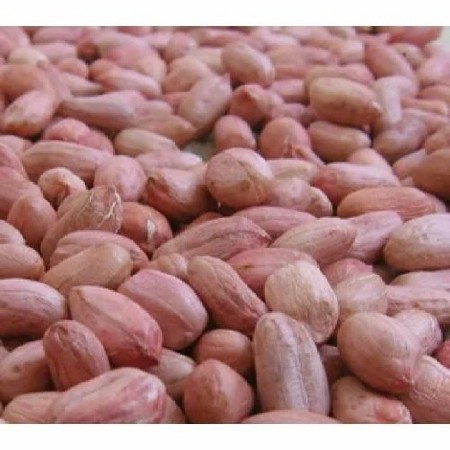 જી ૨૦ ઓરીજનલ મગફળી બિયારણ
ઘરઘરાવ