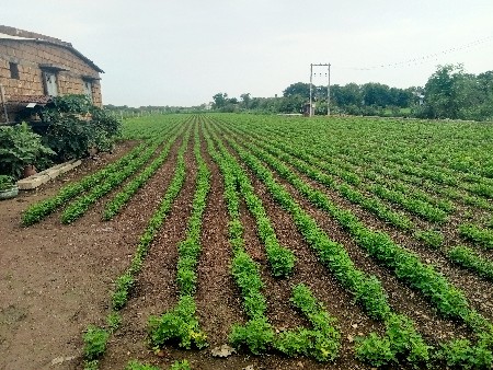 જમીન વેચવાની છે .રોડ ટચ.