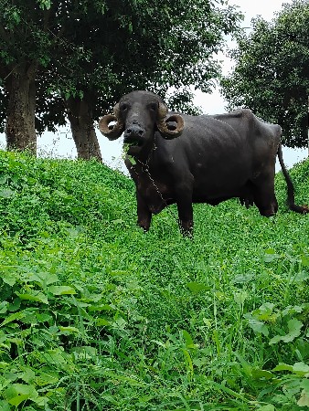 25 દિવસની વાર છે