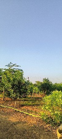૧૫ વિઘા જમીન, રોડ ટચ.