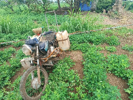 સૂજીકી