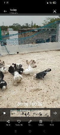 બધા સાથે દેવાનાં છે