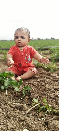 ભેંસ