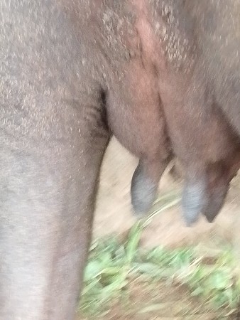 લેવી હોય તો જ ફોન કરવો