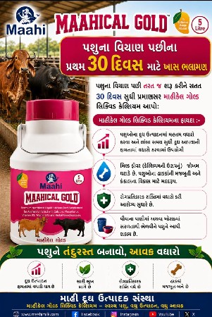 ગાય વેચવાની છે