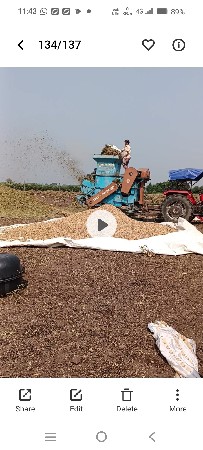 ઠેચર વૃંદાવન