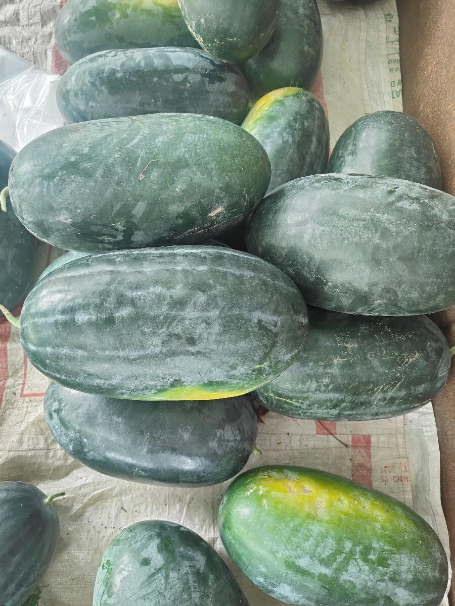 tarbuch (તરબૂચ)