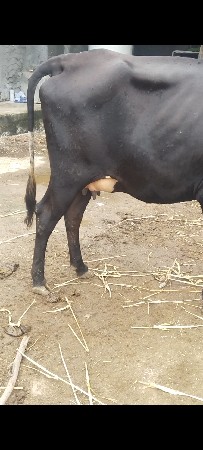 વેચવાની છે