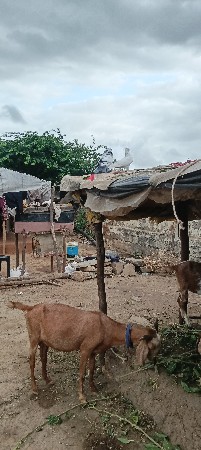 પોરબંદર જિલ્લો