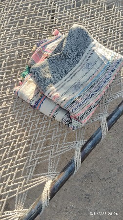 2 ભેસુ