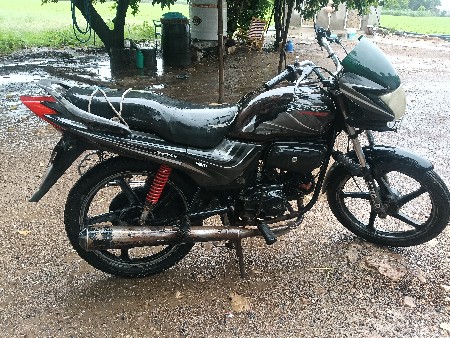 passion pro