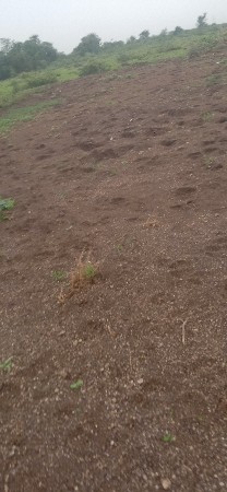 જમીન વેસ્વની સે