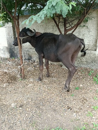પોરબંદર જિલ્લો