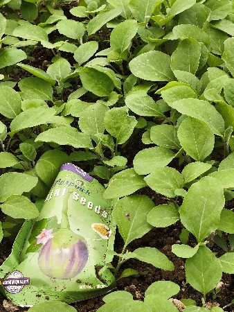 vedika narsari farm 
9925341424