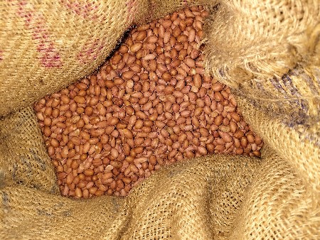 જી-૨૨ નંબર બિયારણ વેચવાના છે