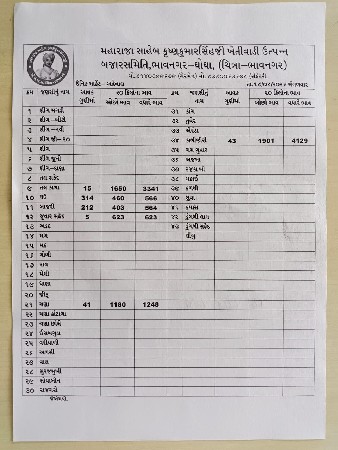 કાળી ગાય