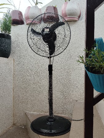 સ્ટેન્ડ ફેન વેચવાનો છે