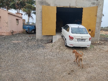 17 નું મોડલ