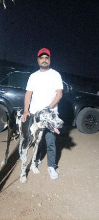 મિટિંગ માટે