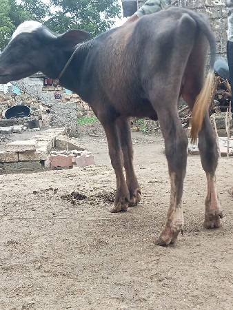 પોરબંદર જિલ્લો