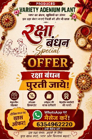 સ્ટીકર વાંચી લવ
