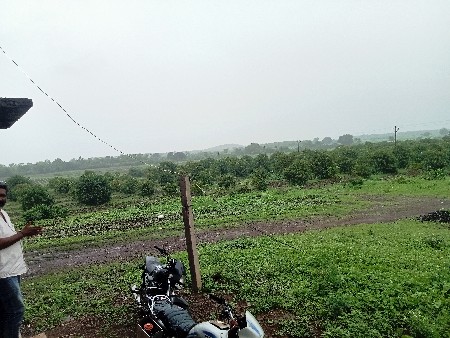 બગીચો વેચવાનો છે