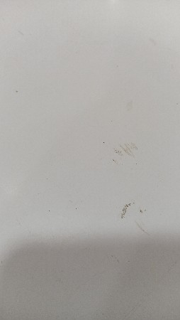 ઓરણી વેચવાની છે