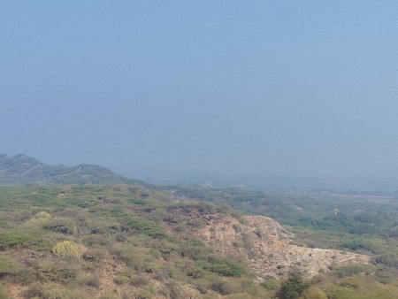 જમીન લેવી છે જૂની સરત ની