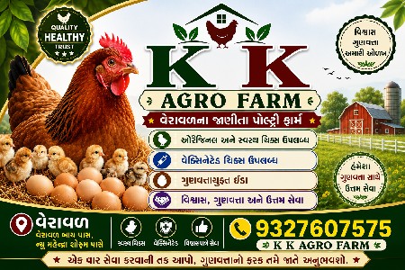 વ્હાઇટ બેકિંગ ડક