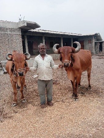 વેચવાના છે