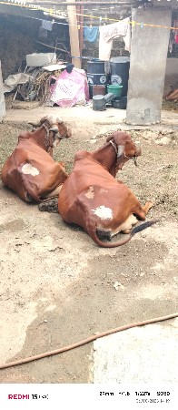 વેચવાની