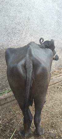 આ નબર માં કોલ કરવો 6356567000