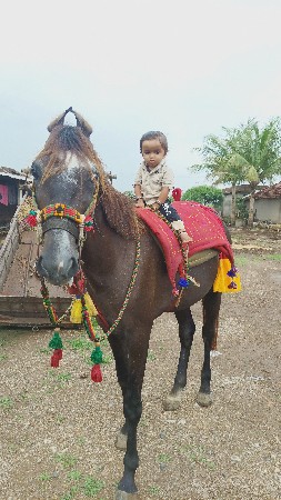ઘોડ઼ો વેસવા નો છે