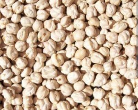 કાબુલી ચણા વેચવા ના છે
