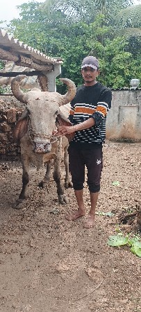 તેજી ઘરનો છે