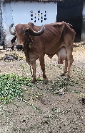 3 વેતન