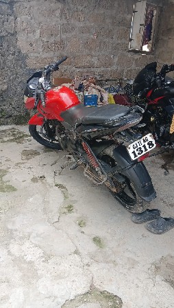 palsar 135cc