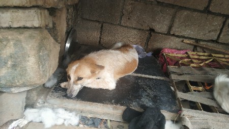 દેવાનું છે