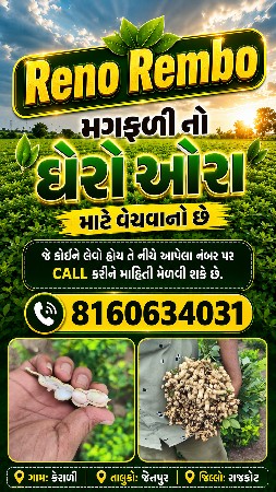 ઓરા માટે મગફળી વેચવાની છે