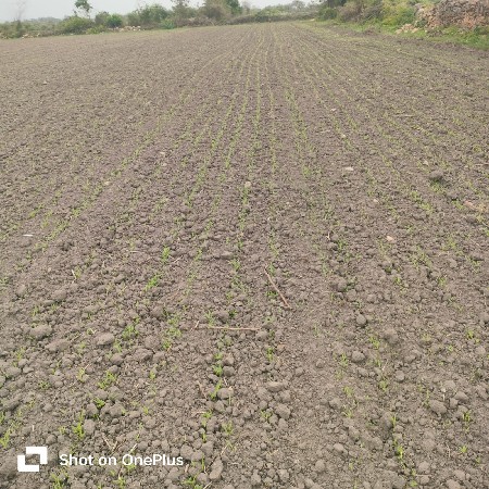 જમીન વેચવા ની છે. ખડી નીકરે એવી