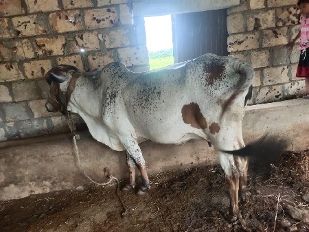 વેચવાની છે