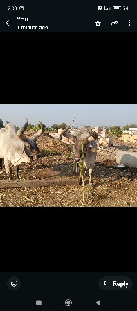 વેચવા ના